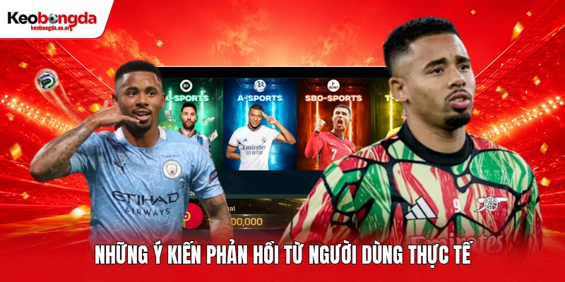 Những ý kiến phản hồi từ người dùng thực tế
