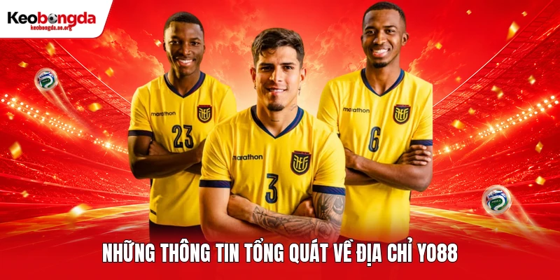 Những thông tin tổng quát về địa chỉ YO88