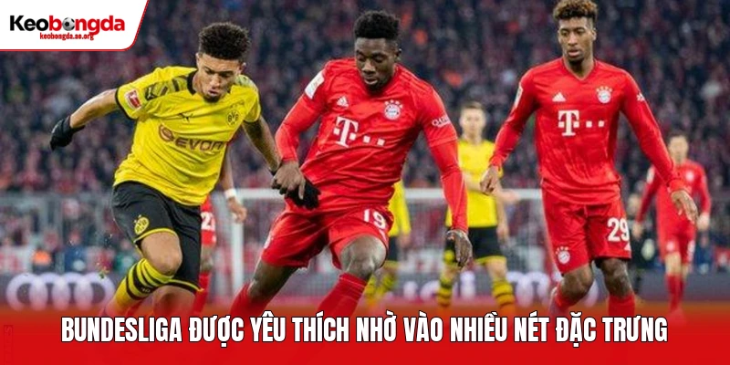 Bundesliga được yêu thích nhờ vào nhiều nét đặc trưng