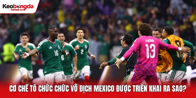 Cơ chế tổ chức chức vô địch Mexico được triển khai ra sao?