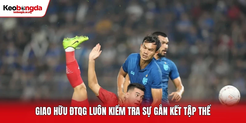 Giao hữu ĐTQG luôn kiểm tra sự gắn kết tập thể