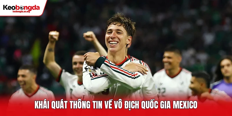 Khái quát thông tin về vô địch quốc gia Mexico