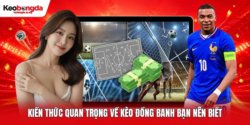 Kiến thức quan trọng về kèo đồng banh bạn nên biết