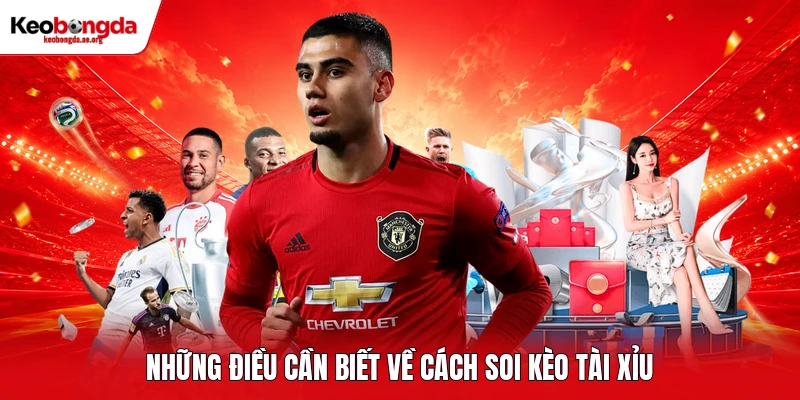 Những điều cần biết về cách soi kèo tài xỉu