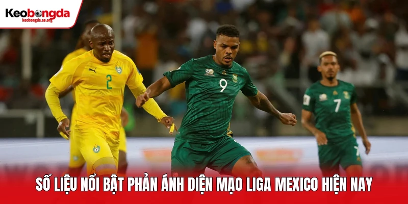 Số liệu nổi bật phản ánh diện mạo Liga Mexico hiện nay