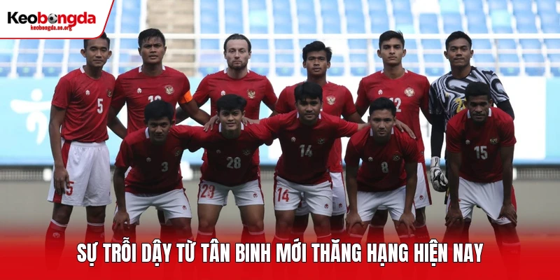 Sự trỗi dậy từ tân binh mới thăng hạng hiện nay