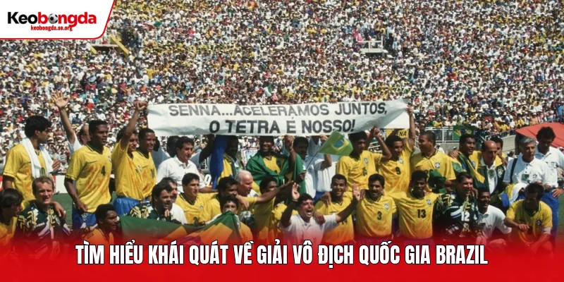 Tìm hiểu khái quát về giải vô địch quốc gia Brazil