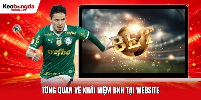Tổng quan về khái niệm BXH tại website