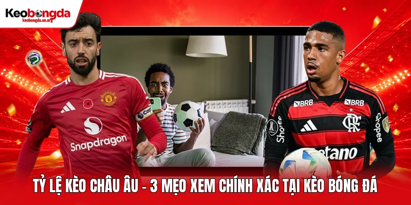 Tỷ Lệ Kèo Châu Âu - 3 Mẹo Xem Chính Xác Tại Kèo Bóng Đá